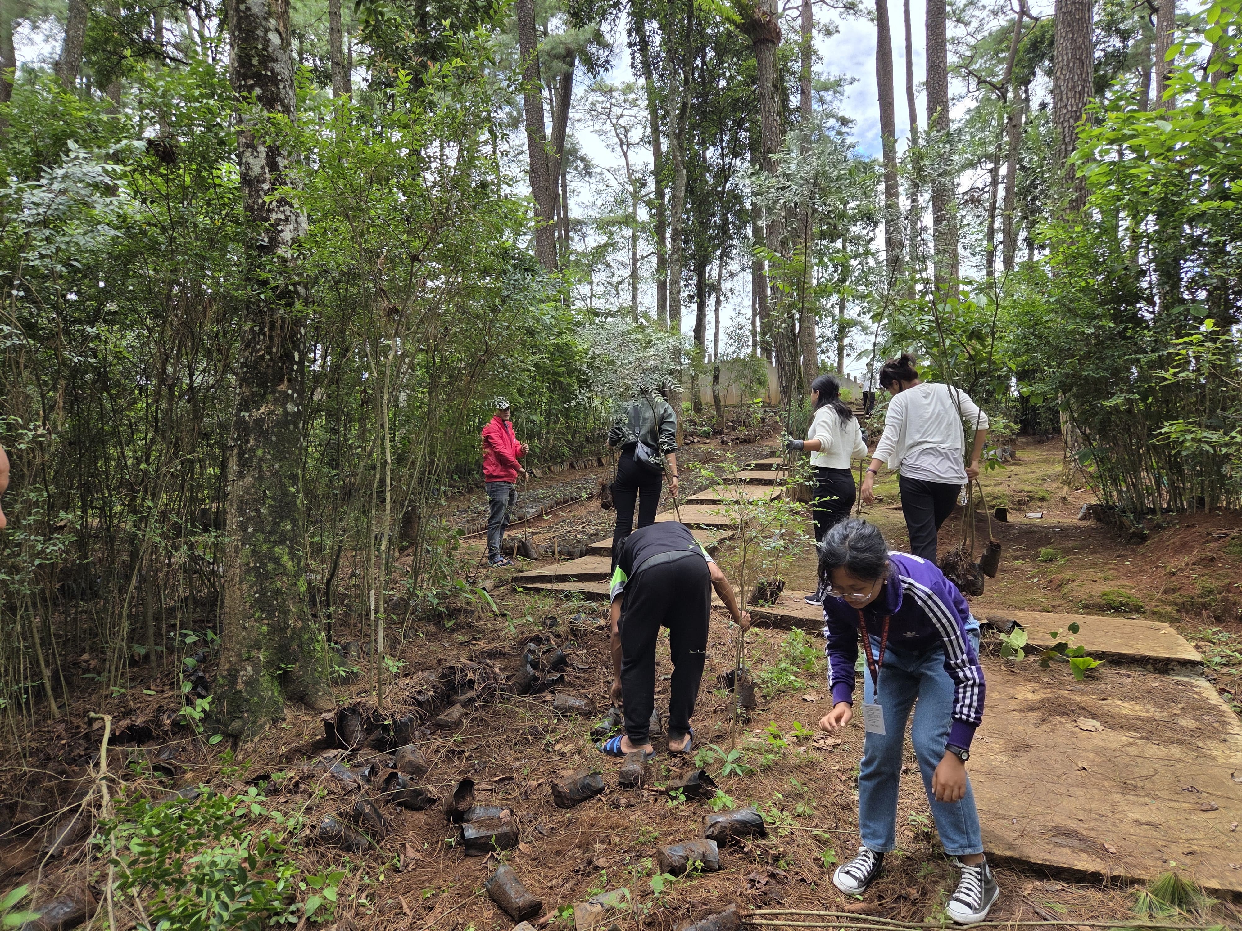 Sapling Plantation under SGP